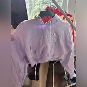 Champion cropped sweatshirt